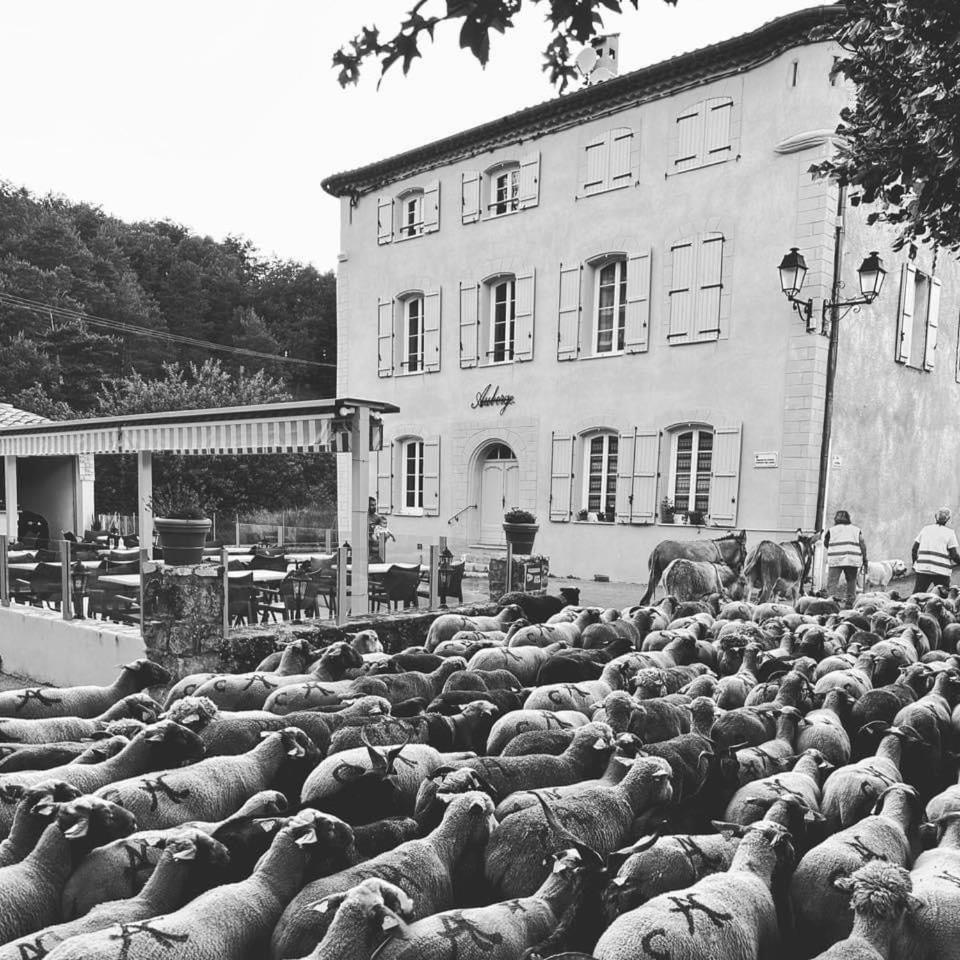 Auberge Du Bourguet Brenon Exteriör bild